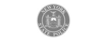 ny state logo