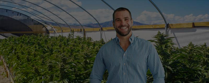 cannabis security manager