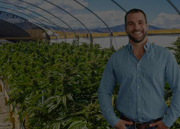 cannabis security manager